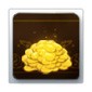 5000 Gold
