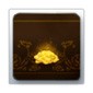 500 Gold