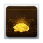 2200 Gold