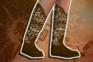 Cowboy Boots Female