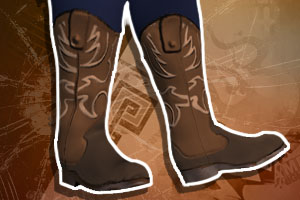 Cowboy Boots Male